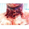 One Day Introduction to Prosthetic Makeup Course Essex